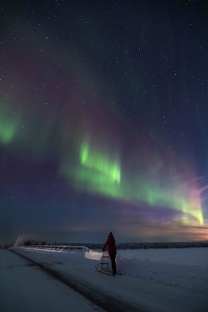 Une personne se tient debout dans un paysage enneigé, sous un ciel nocturne où l’on peut voir des étoiles et des aurores boréales.