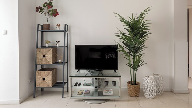 A living room with a glass TV stand, a potted plant, and a shelving unit with storage boxes. - Graça Secret Village – 2BR Retreat (Lisbon)