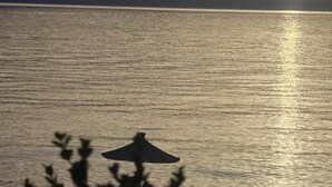 标准四人房, 海景 | 其他