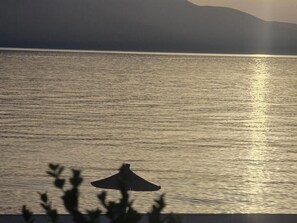 Miscellaneous - Swiss Revage (Vlore)