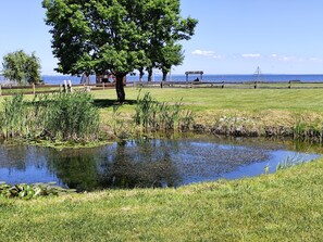Property grounds - Vacation home Altwarp Meerblick, Mecklenburg- Vorpo, dog allowed, 2 persons (Altwarp)
