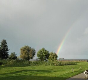 Property grounds - Bungalow with sea view, Altwarp, Stettiner Haff, dog allowed, 2 persons (Altwarp)