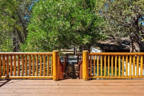 Property grounds - Big Bear Cozy Cottage (Big Bear Lake)