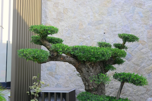 외 부 세부 사진