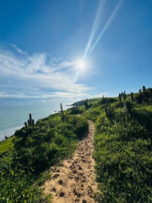 Caminatas