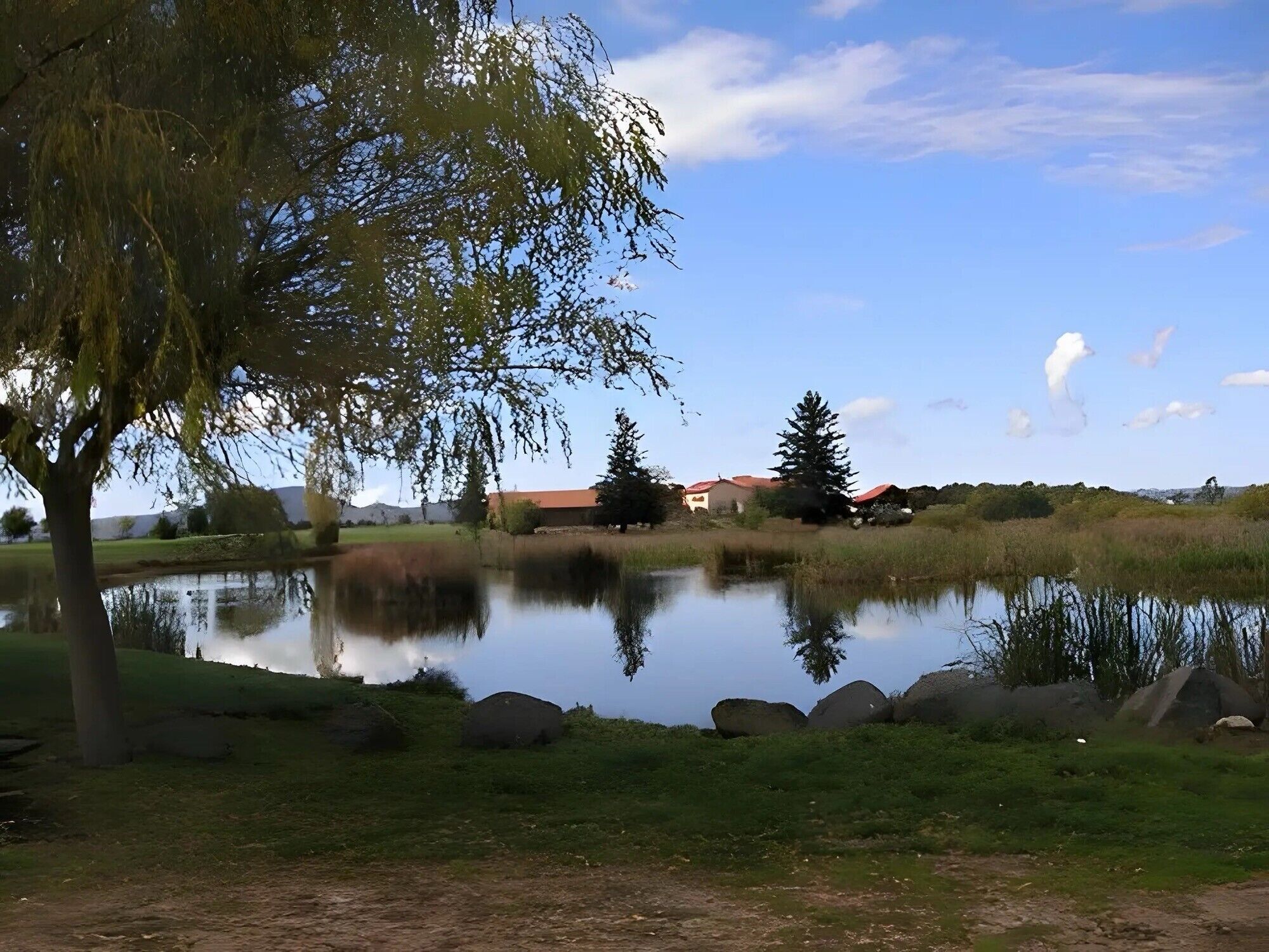 A serene lakeside setting with a pond, a tree, and a building in the background.