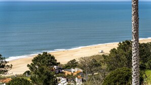 Une plage offrant une vue dégagée sur l’océan, un rivage sablonneux et quelques bâtiments au premier plan.