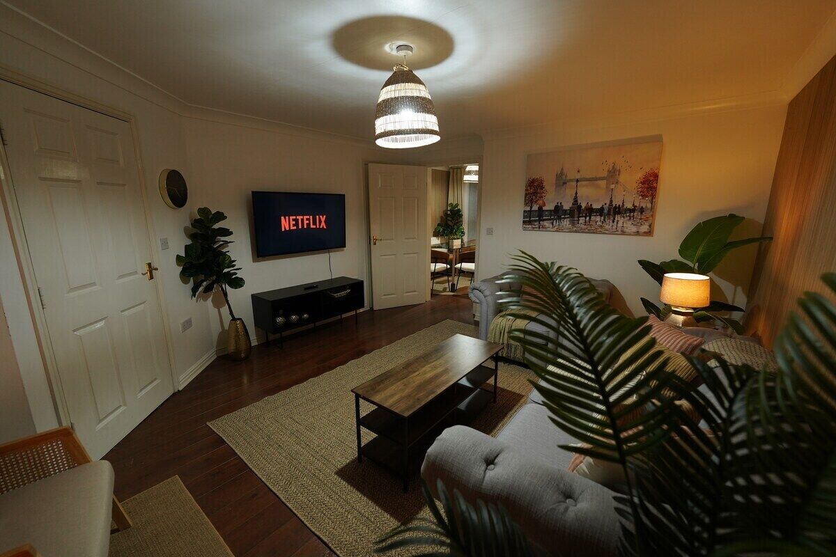 TV