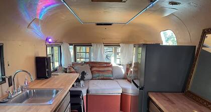 Moonshadow Flat Glamping: Onyx Tent