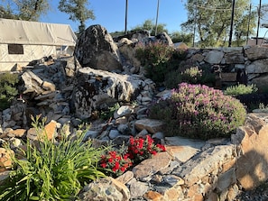 Un jardin avec des rochers, des fleurs rouges et des plantes vertes.