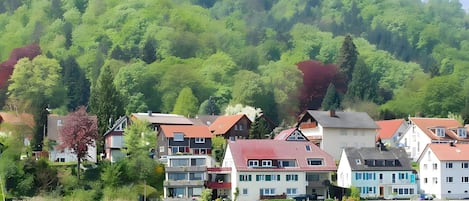 Eksteriør