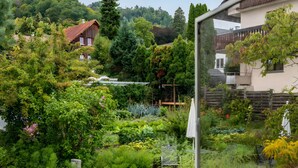 A garden with various plants and a wooden house in the background. - Guest House 'Kleines Zimmer Am See' with Shared Garden and Wi-Fi (Bodman-Ludwigshafen)