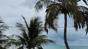 A beach with palm trees, a sandy shore, and several kayaks lined up. - Pousada Pé no Mar (Japaratinga)