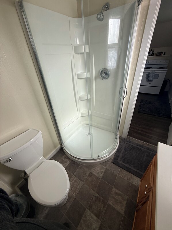 Shower, towels, toilet paper