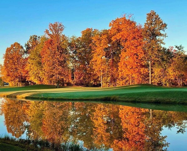 Ein friedlicher Golfplatz mit einem stillen Teich, der Bäume widerspiegelt.