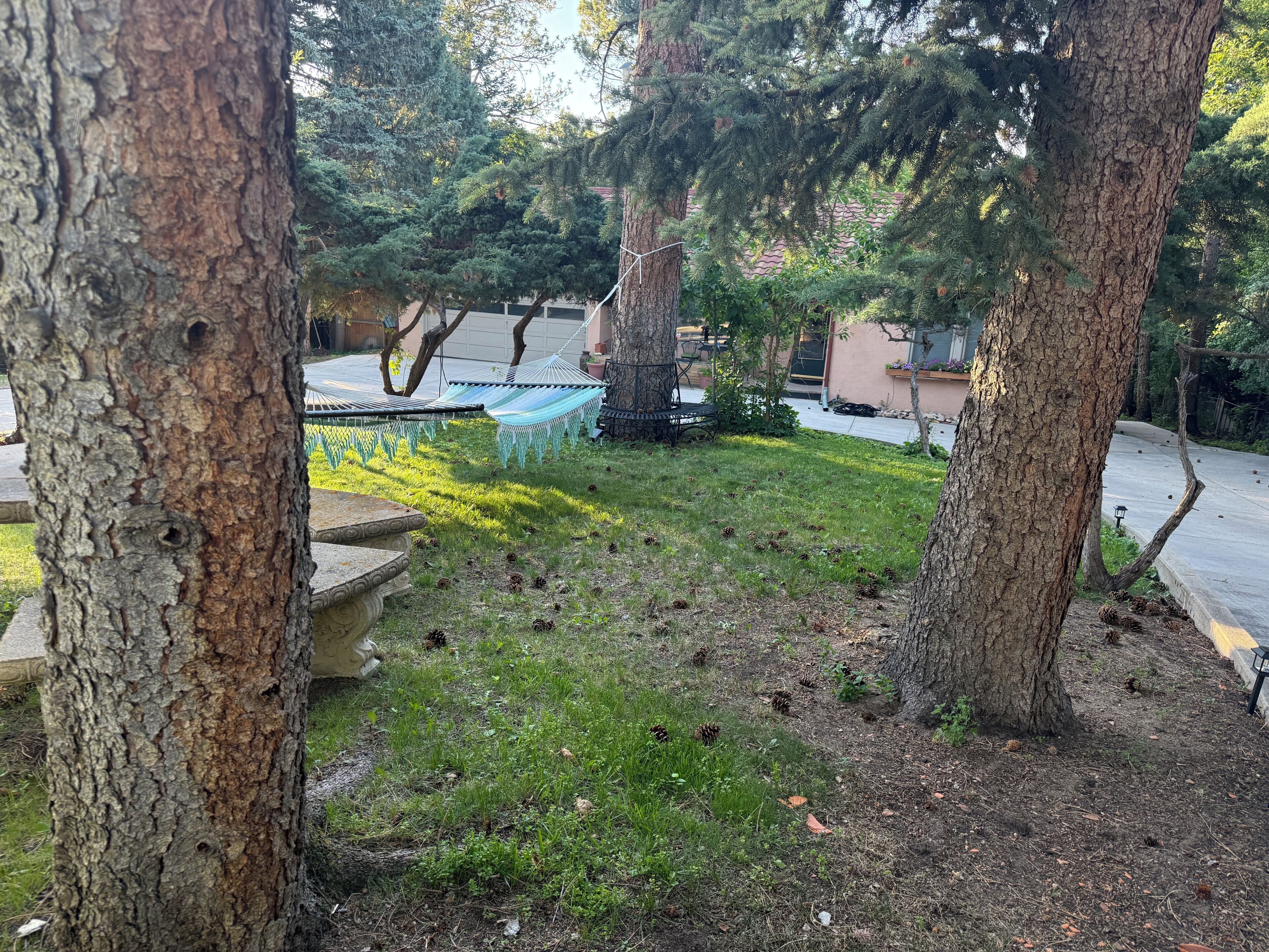 Ein Gartenbereich mit Bäumen, einer Hängematte und einer Betonbank.