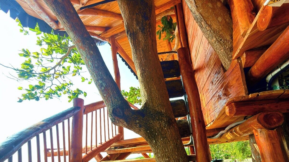 Tree House, Sea View