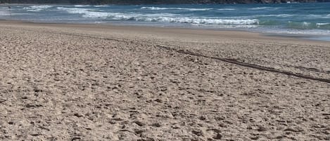 Plage à proximité