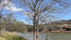 Une zone herbeuse avec une jetée en bois qui s’avance sur une étendue d’eau, le tout entouré d’arbres et sous un ciel dégagé.