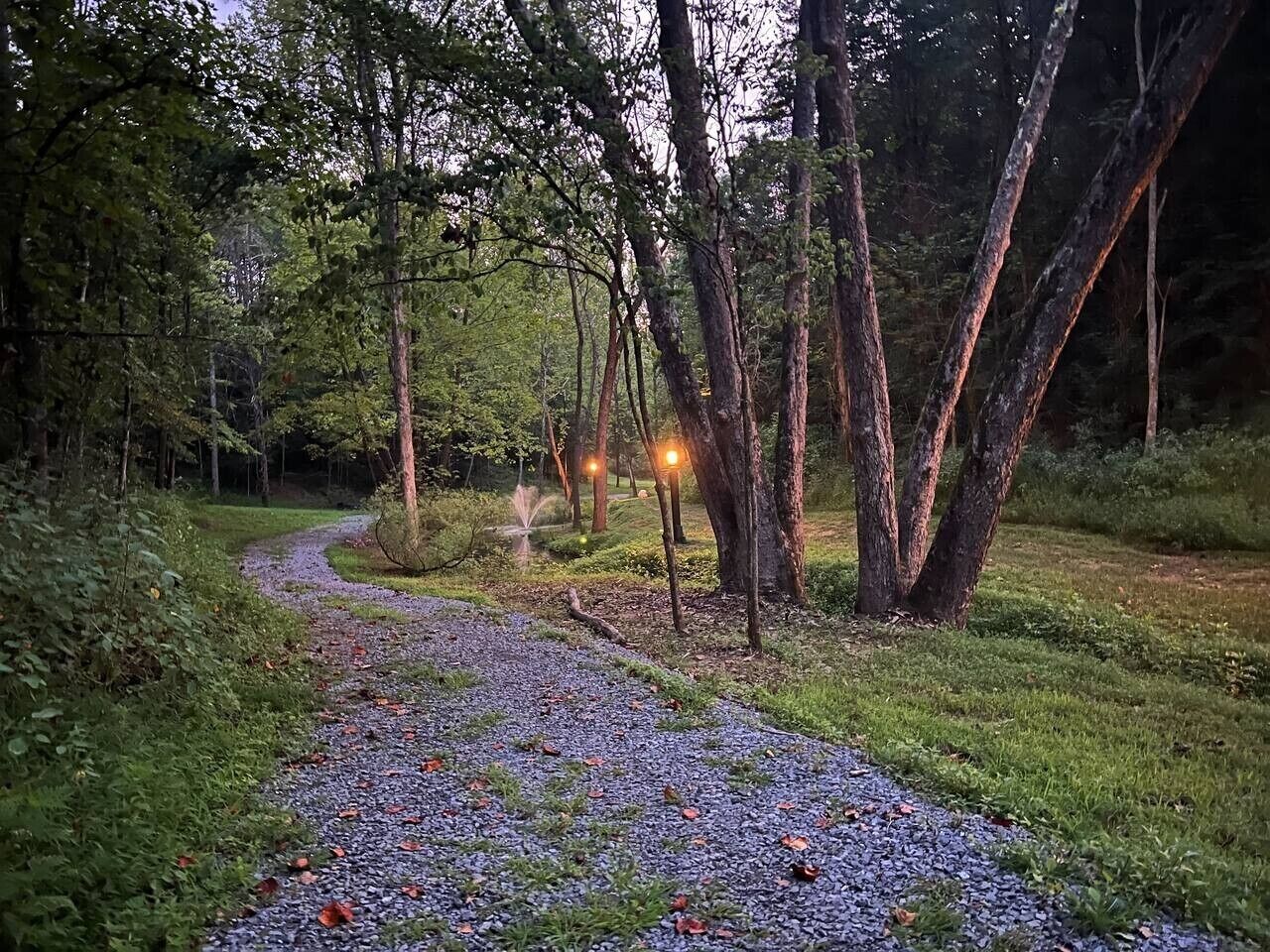 A gravel path in a forested area with trees and a fountain.
