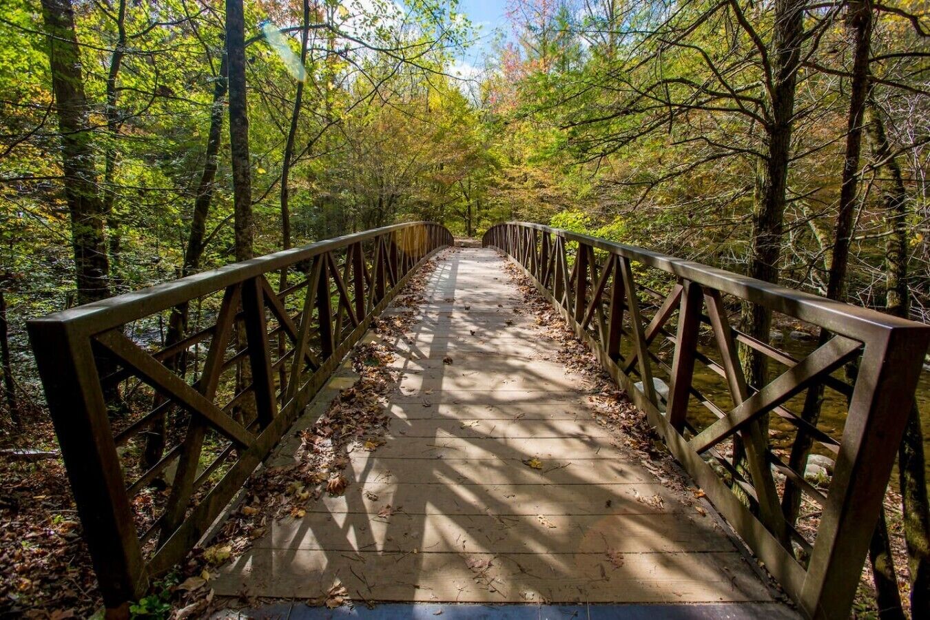 Un puente de madera con barandilla metálica, rodeado de árboles y hojas caídas.