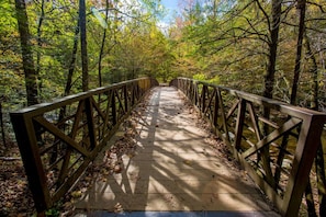 A wooden bridge with railings in a forested area.