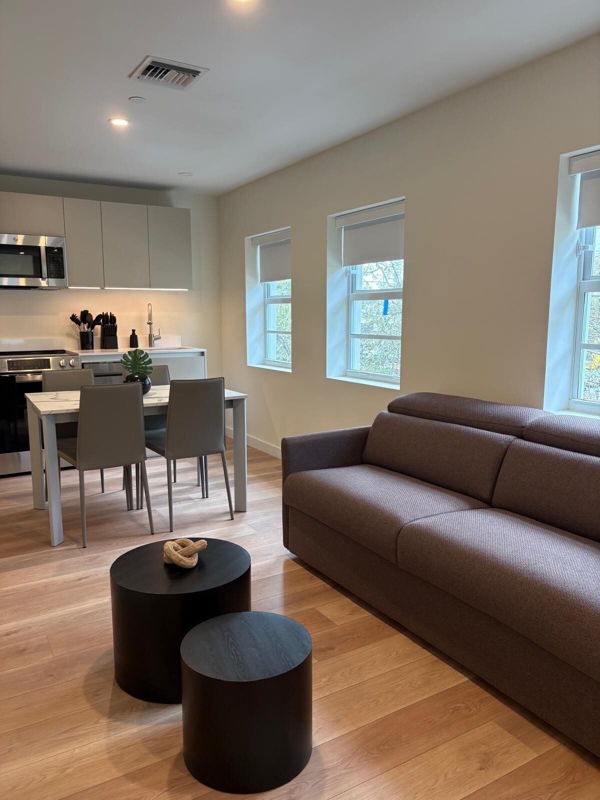 A modern kitchen with a dining area, a sofa, and two windows.