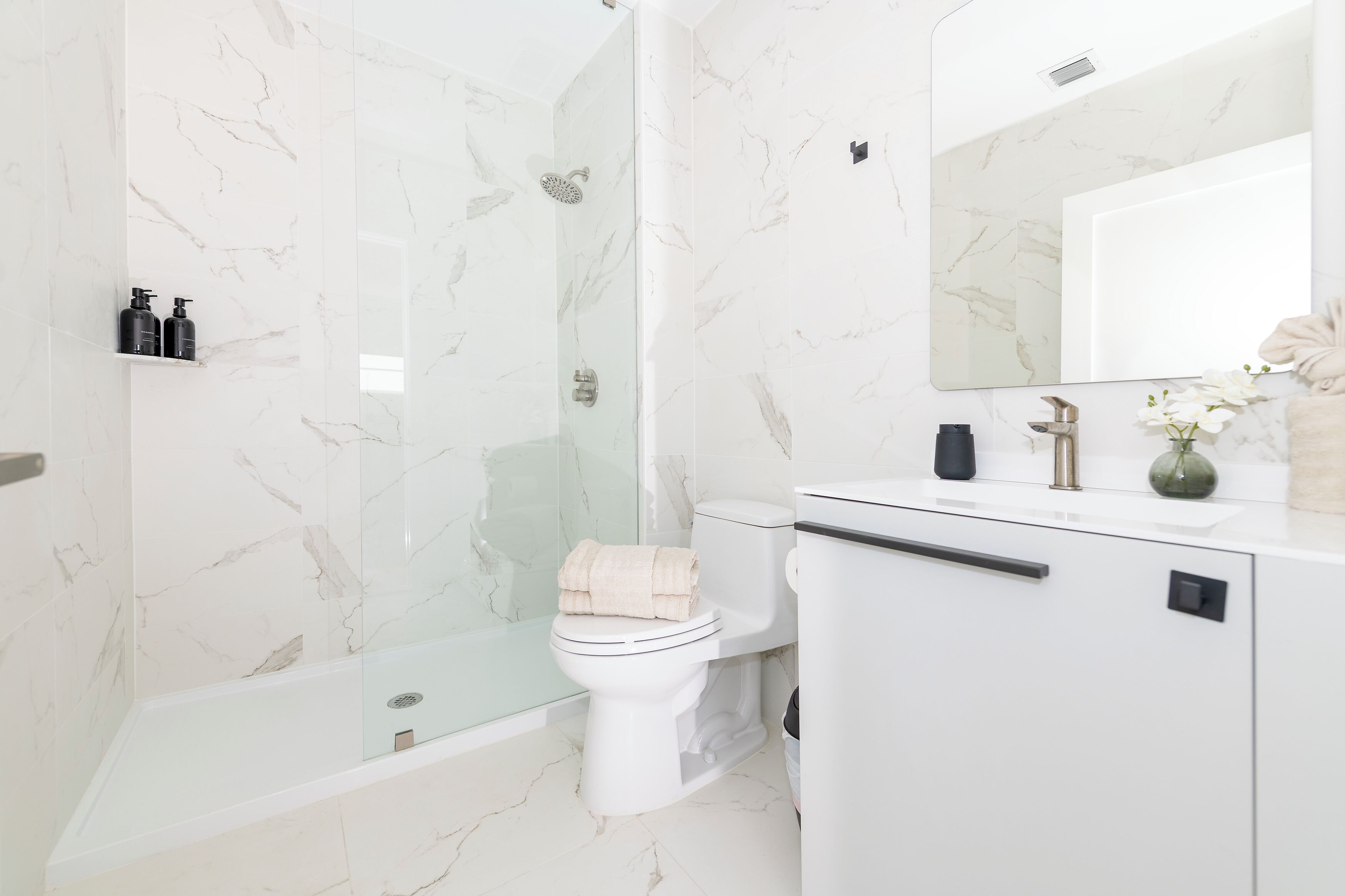 A modern bathroom with a glass-enclosed shower, a toilet, and a vanity with a mirror.
