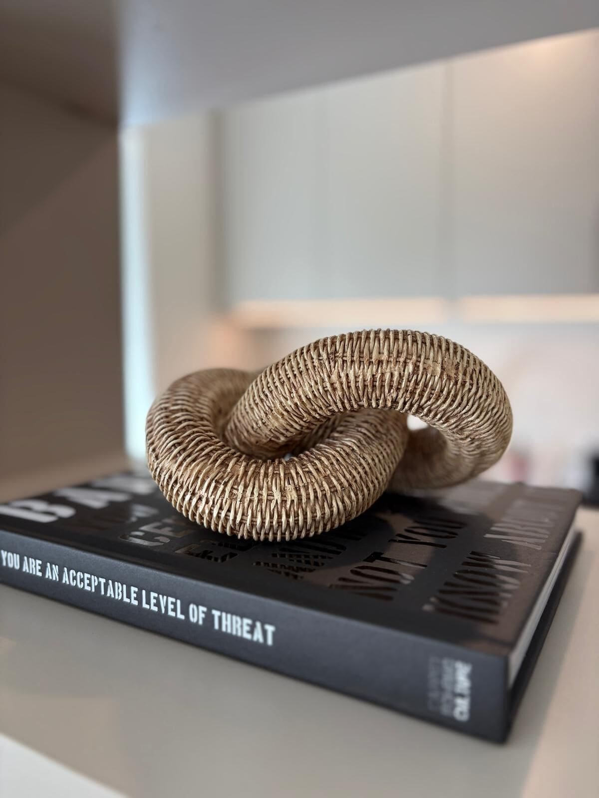 A coiled rope-like object on a book titled 'YOU ARE AN ACCEPTABLE LEVEL OF THREAT.'