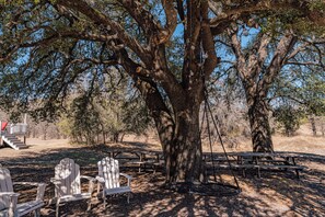 A large tree with picnic tables and Adirondack chairs in a park setting. - Skyview Ranch King Cabin (Bluff Dale)