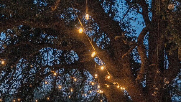 Ein Baum mit Lichterketten, umgeben von Adirondack-Stühlen.