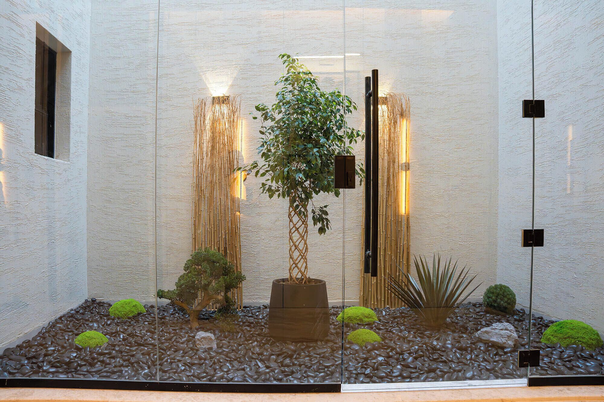 A glass-enclosed indoor garden with a bonsai tree, rocks, and various plants.