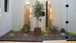 Lasiseinien ympäröimä sisäpuutarha, jossa on bonsai-puu, kiviä ja erilaisia kasveja.