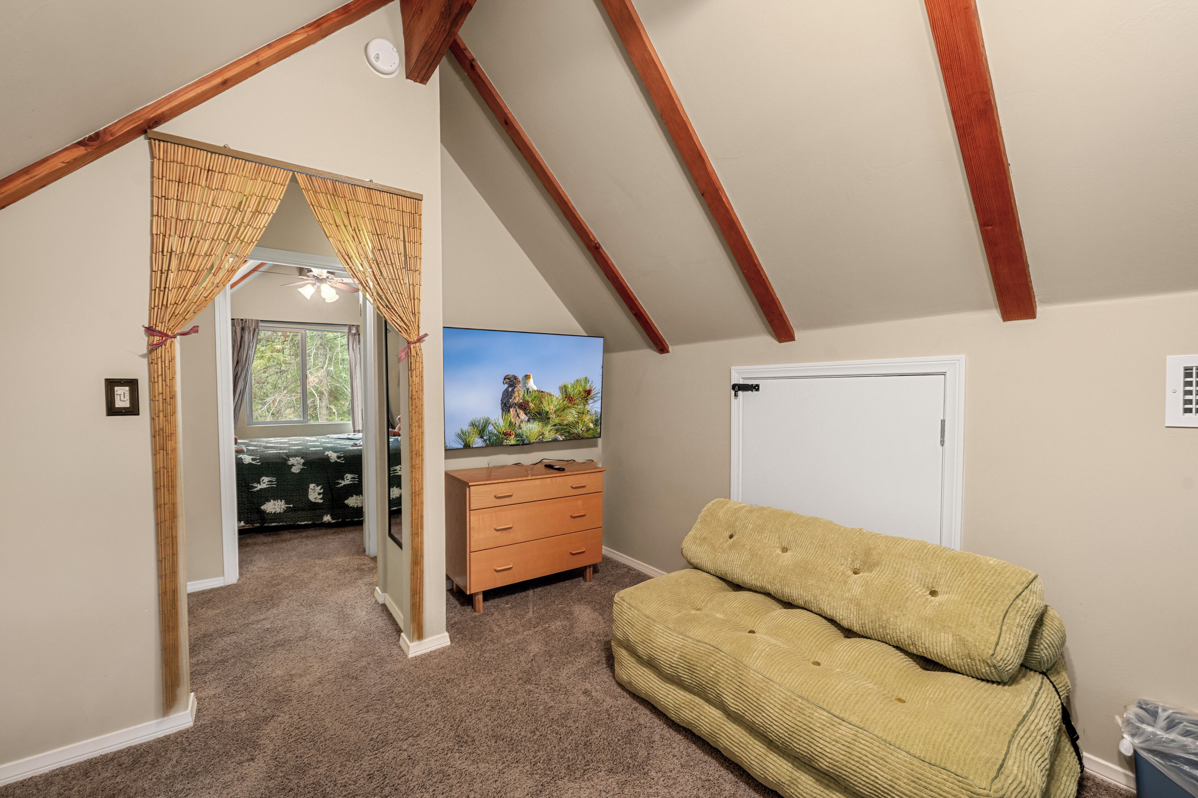 Une chambre avec un plafond en bois, un canapé vert, une télévision et une porte.