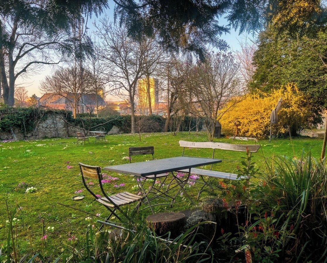 A grassy outdoor area with a table and chairs, surrounded by trees and a stone wall.