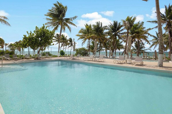 A swimming pool with lounge chairs and palm trees, overlooking the ocean.