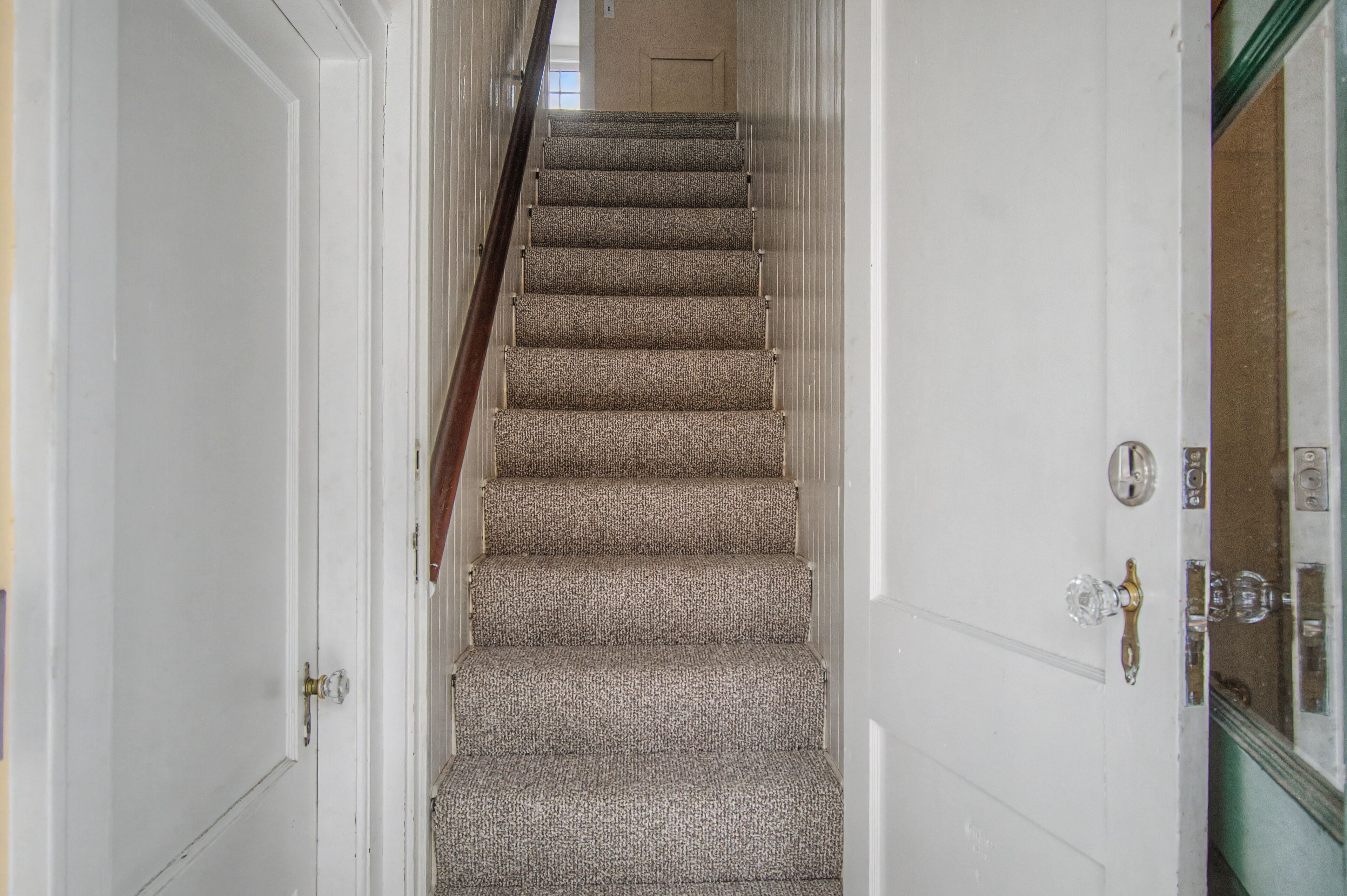 A carpeted staircase with a door at the bottom.