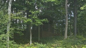 Ein bewaldetes Gebiet mit einer hölzernen Struktur, möglicherweise ein Pavillon oder eine Terrasse, umgeben von dichtem Grün und verschiedenen Pflanzen.
