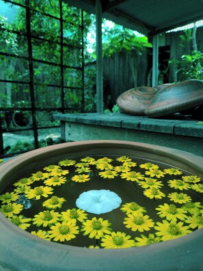 Terrein van de accommodatie