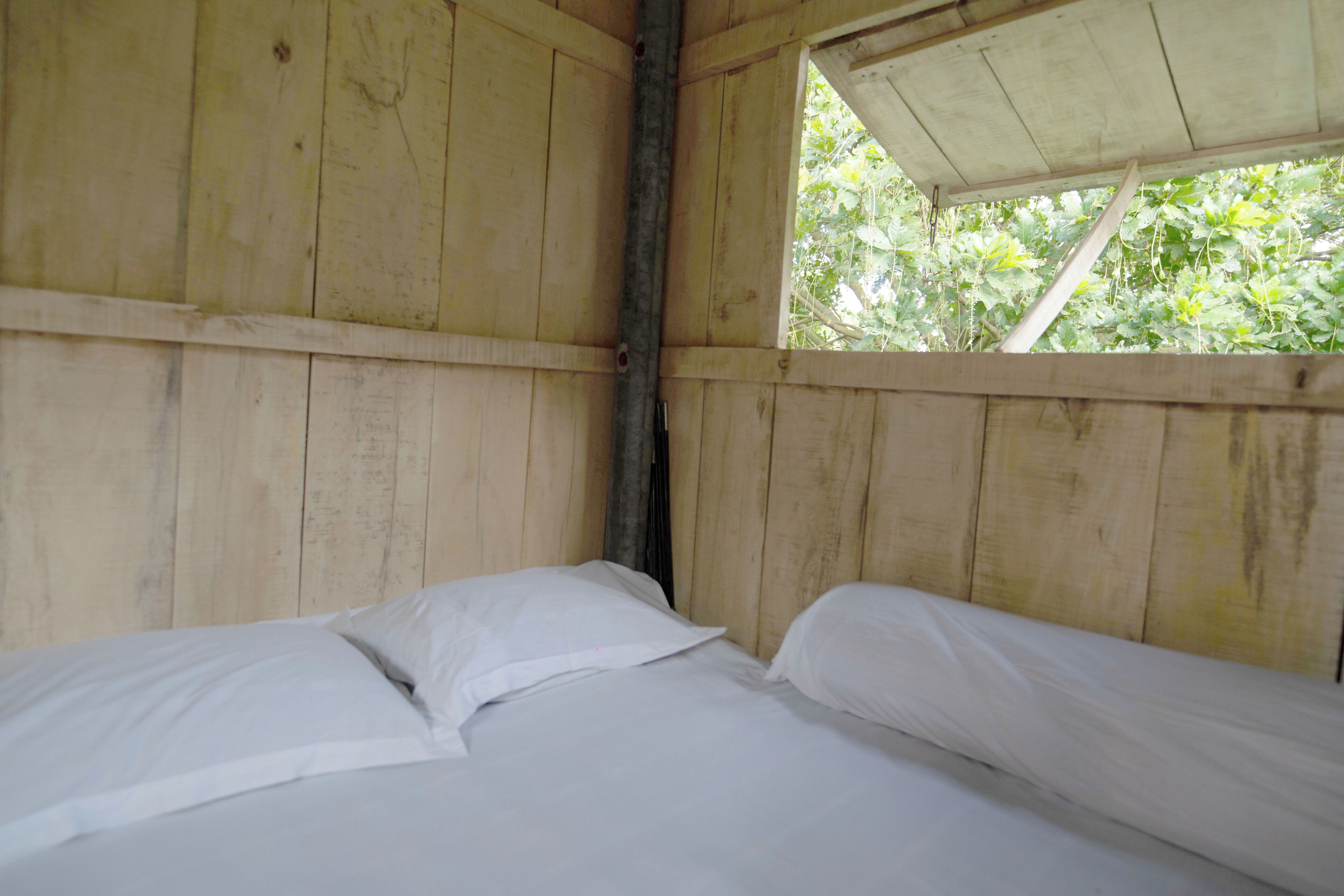 Hijoltola: Village Vibes, Fresh Air, Relaxation - Dhaka