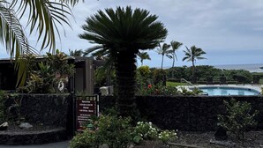 Ein Poolbereich mit einer Palme, einem Schild mit den Öffnungszeiten und Blick aufs Meer.