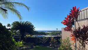 Ein Garten mit Pool, Palmen und Blick auf den Ozean.