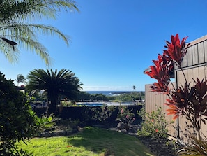 A garden with a pool, palm trees, and a view of the ocean.