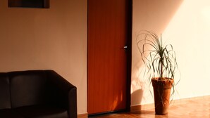 A room with a wooden door, a potted plant, and a dark-colored sofa. - Pousada Árvore da Vida (Bonito)