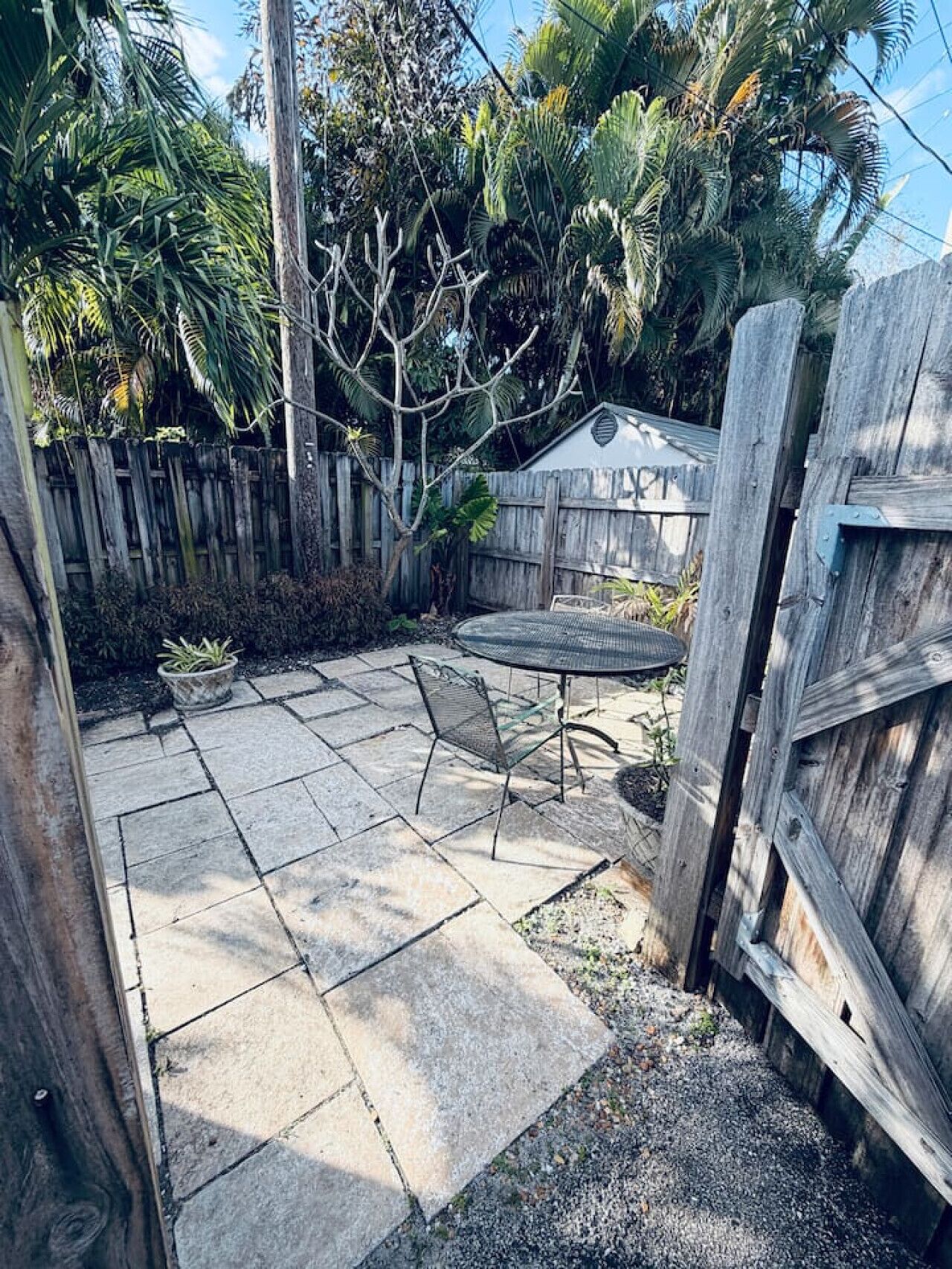 テラス / パティオ