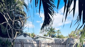 Ein Garten mit einer Steinterrasse, einem Holzzaun und einem kleinen Schuppen.