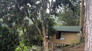 A wooden cabin with a green roof, surrounded by trees and a gravel path leading to it.