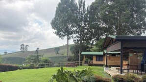 A grassy area with a wooden structure, possibly a patio or lounge area, surrounded by various plants and trees.