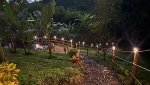 A garden pathway with a wooden fence and string lights, surrounded by lush greenery and a small pond.