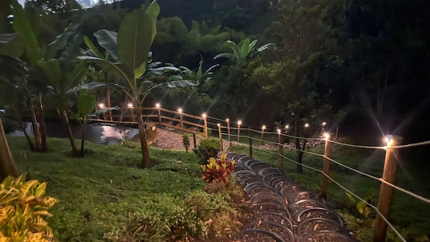 A garden pathway with a wooden fence and string lights, surrounded by lush greenery and a small pond.